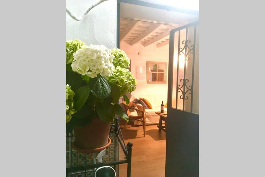 Villa La Puerta Azul à Bornos Extérieur photo