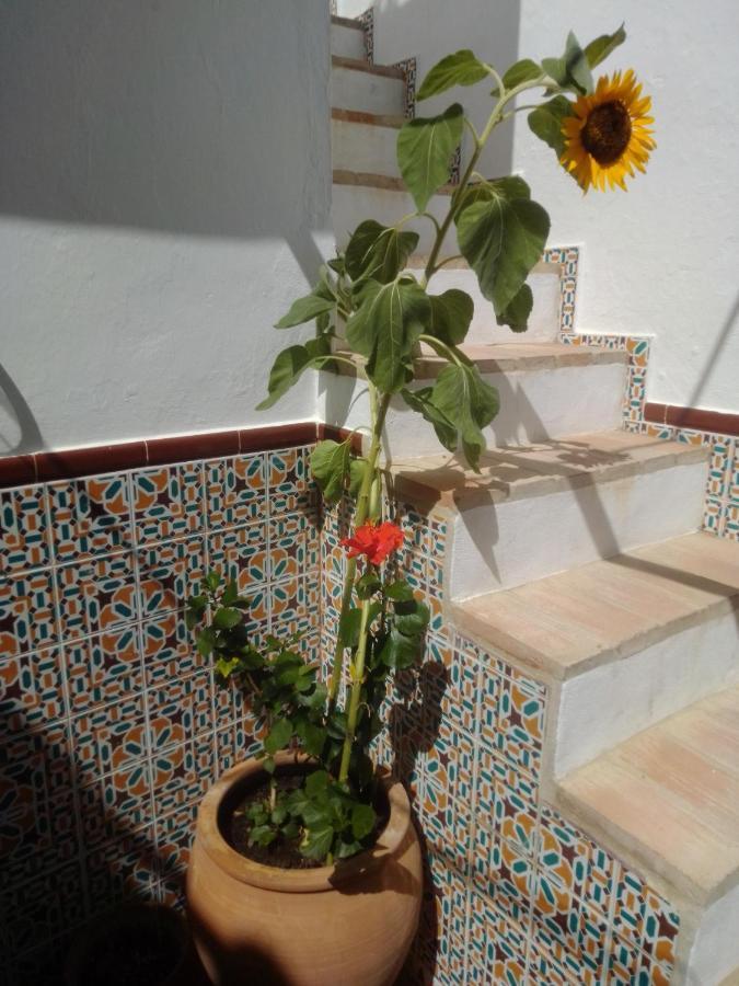 Villa La Puerta Azul à Bornos Extérieur photo
