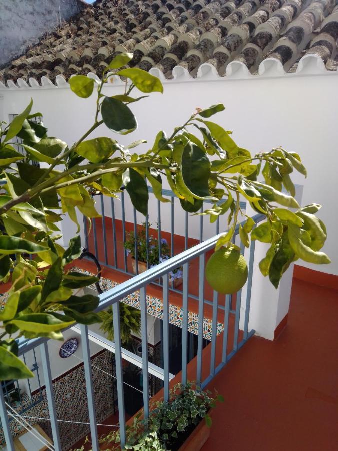 Villa La Puerta Azul à Bornos Extérieur photo